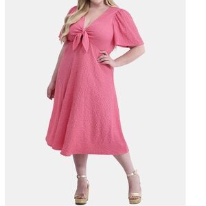 Terra & Sky Womens Plus Crinkle Tie Dress Pink